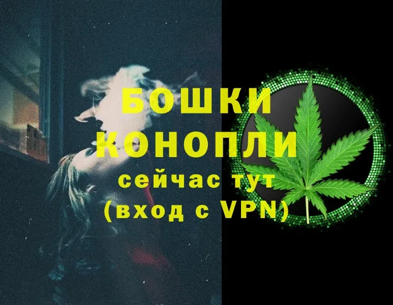 где купить наркоту  Орехово-Зуево  Марихуана SATIVA & INDICA 